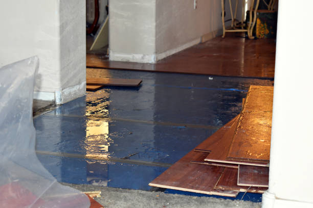 Professional Sewage Cleanup technician working in Georgetown, CT